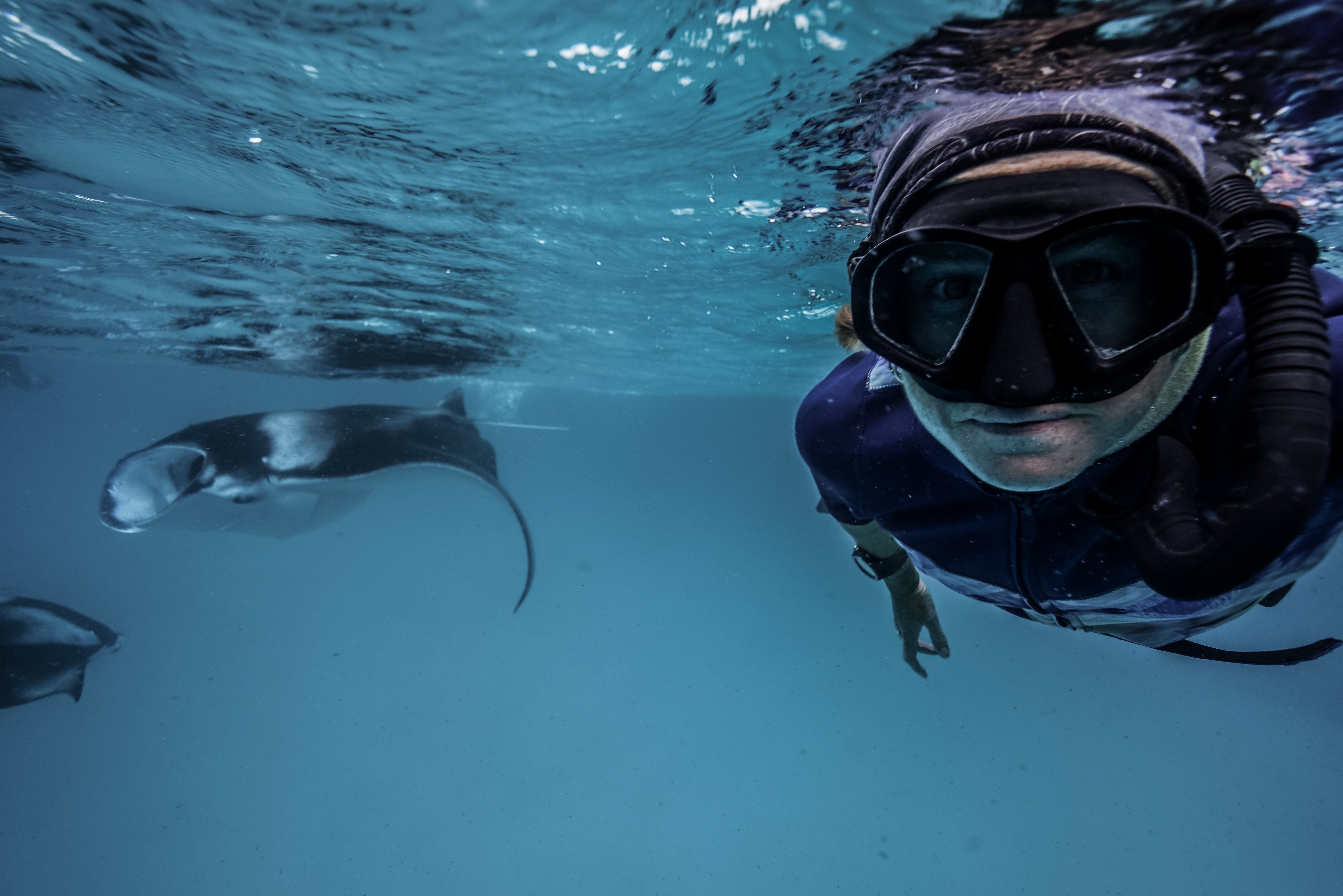 Hannah's selfie with a manta ray