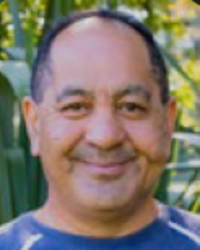 Joe Tahana portrait