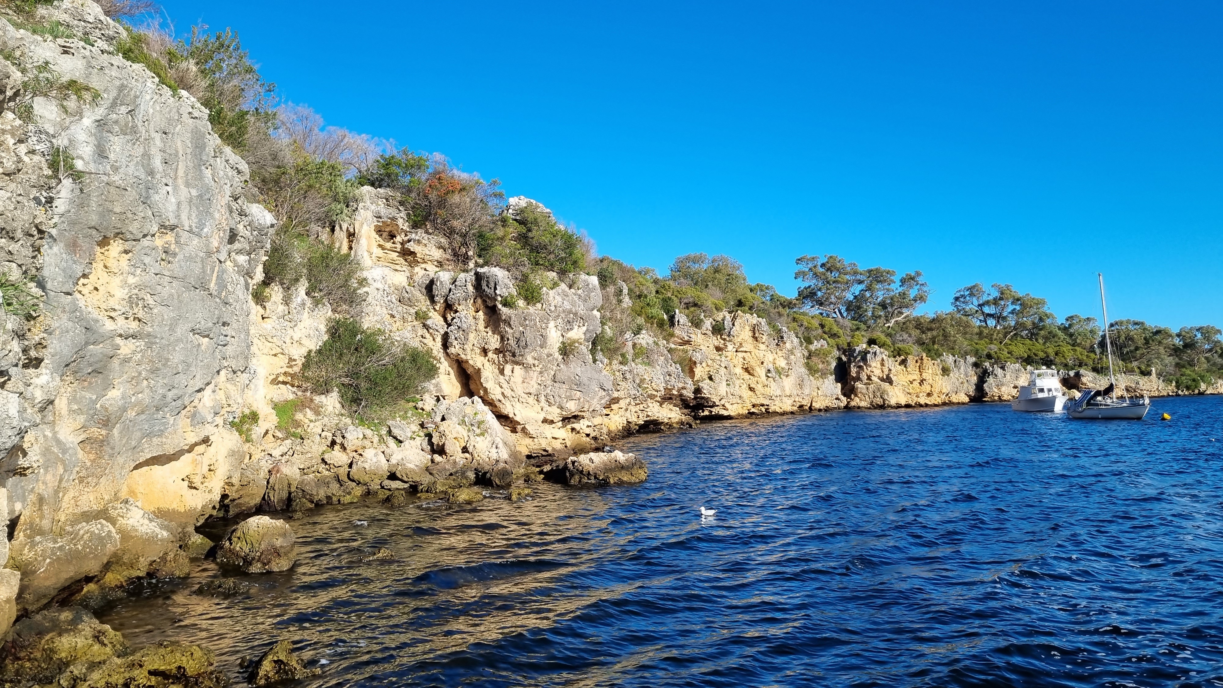 Blackwall Reach snorkelling spot