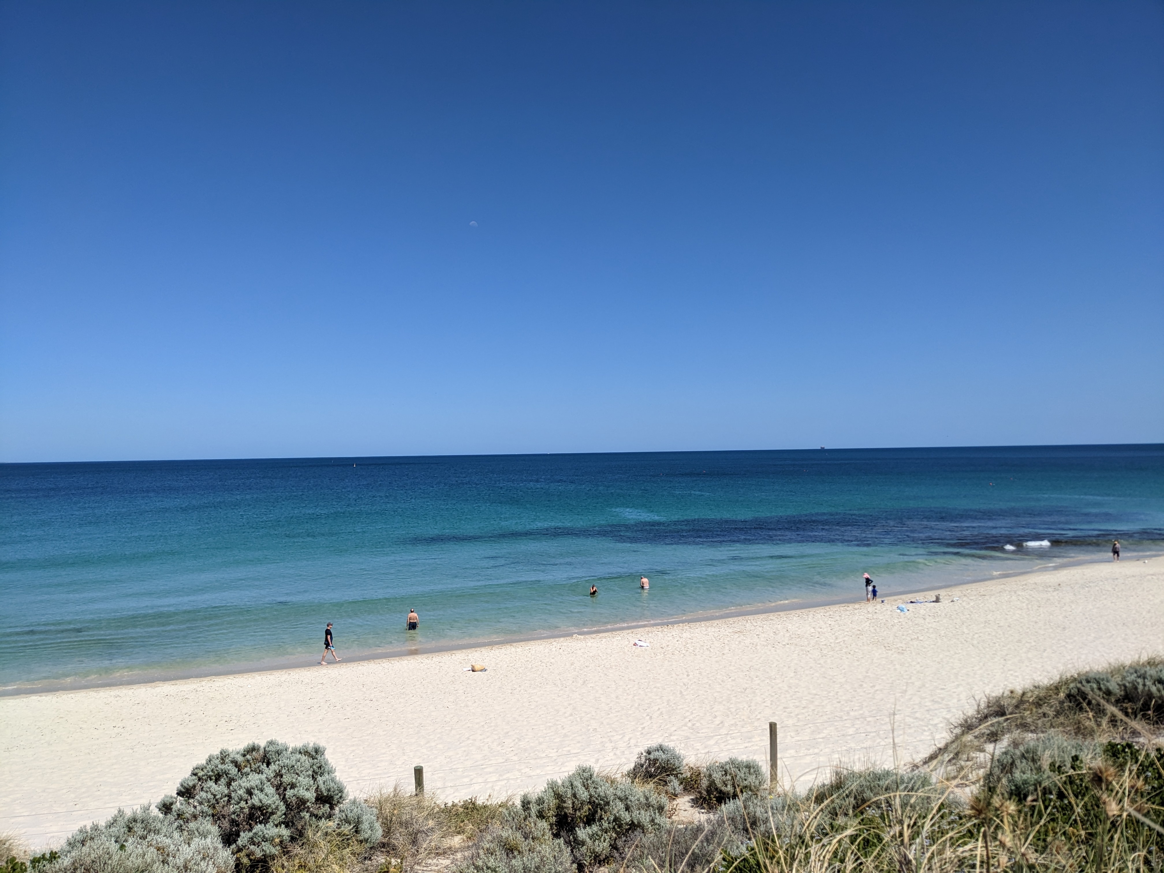 North Cottesloe Beach snorkelling spot