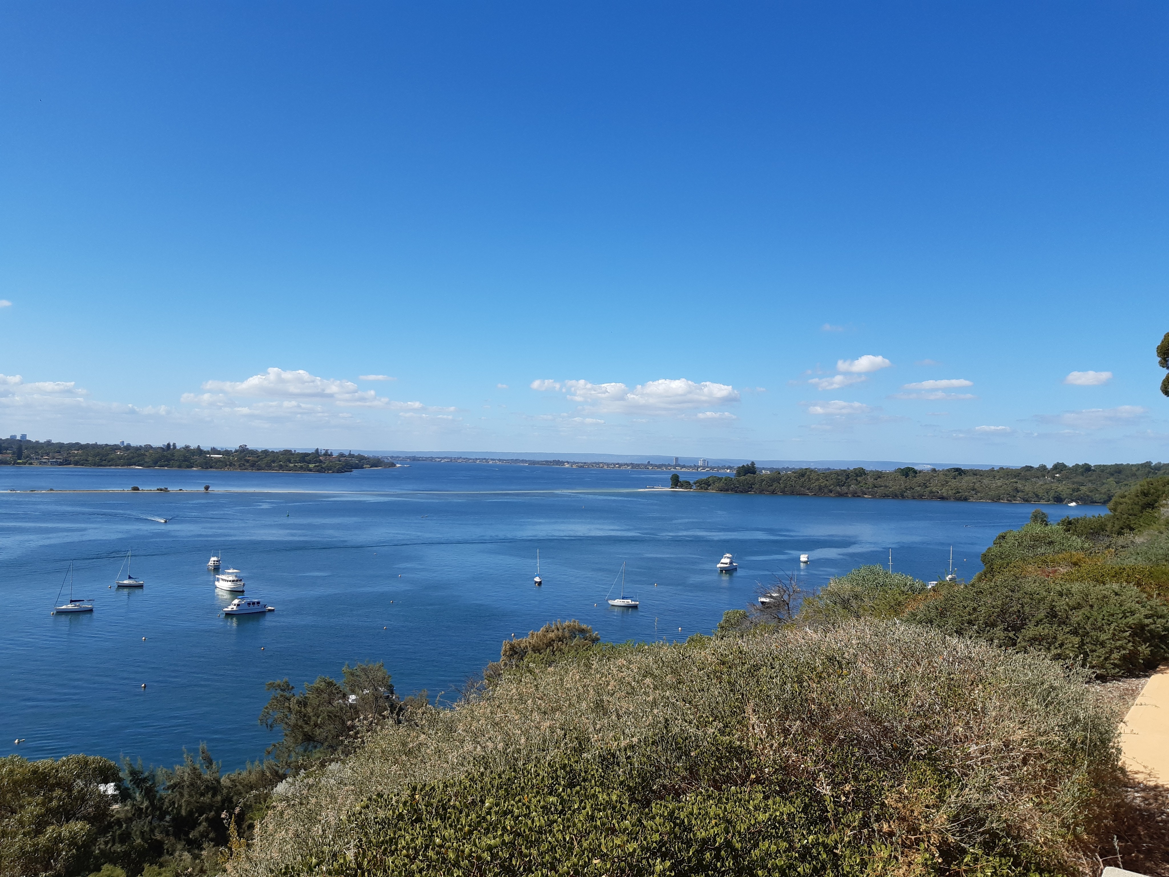 Point Walter snorkelling spot