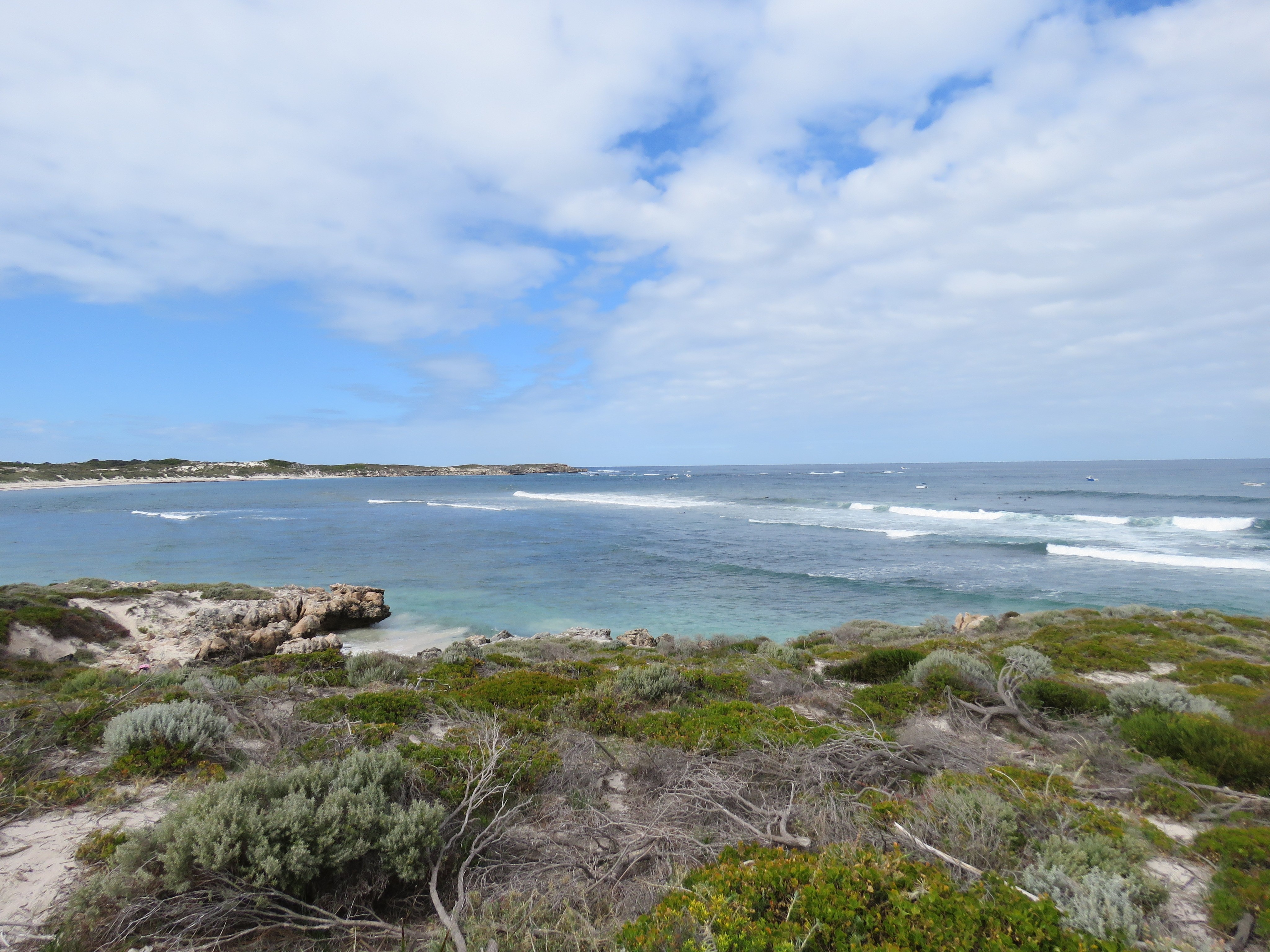 Salmon Bay snorkelling spot