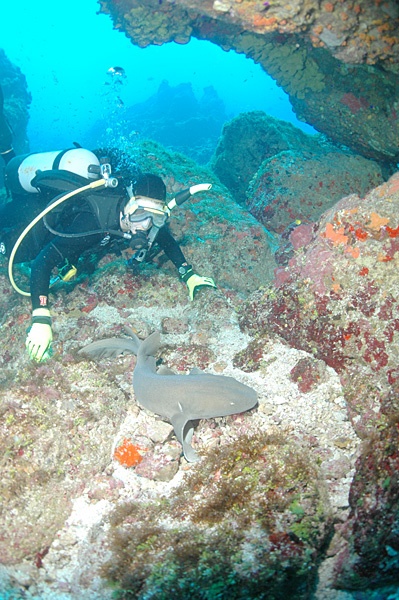 Shark Cave snorkelling spot