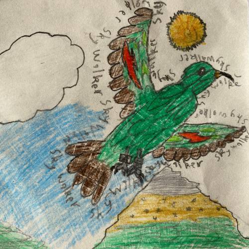 Probably a Female Adult kea