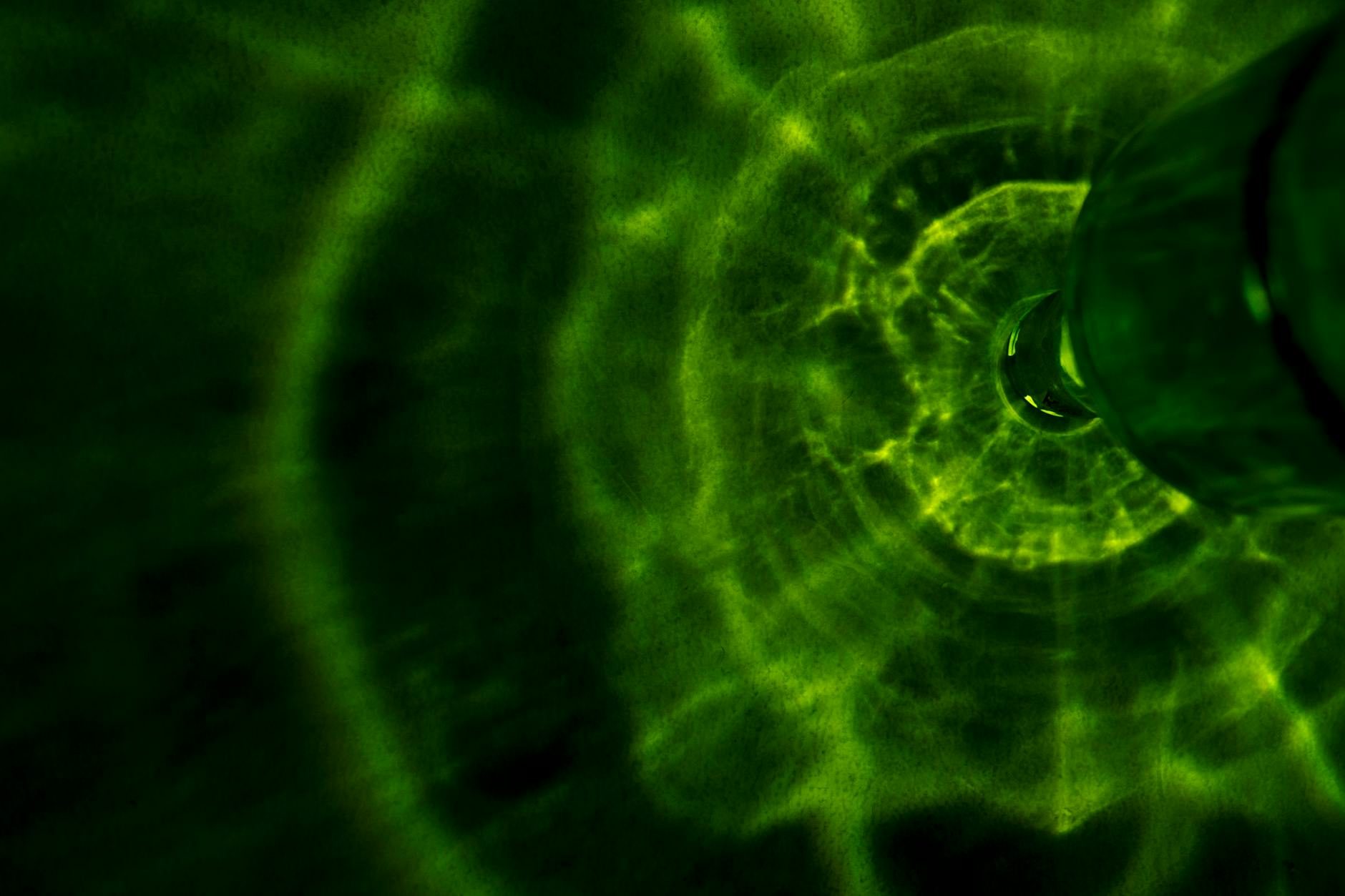 Sun Power 101: How Solar Works in Steps!