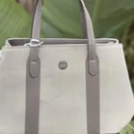 David Jones small office bag