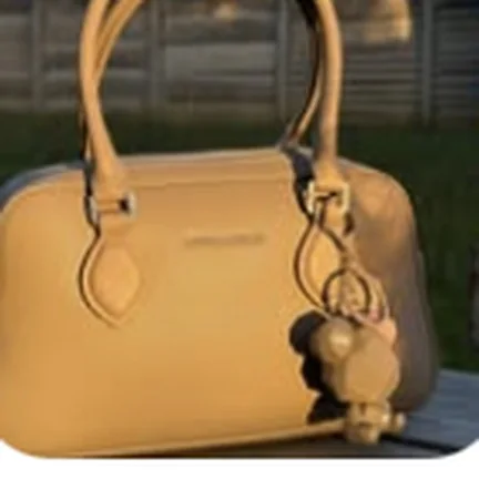 David Jones mini bag, tan