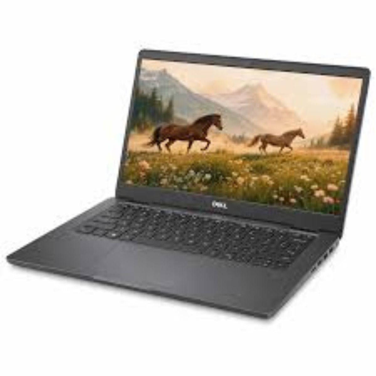 DELL E7420 i5 11TH 8GB-256GB SSD 14.1