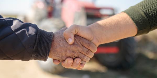 Building trust