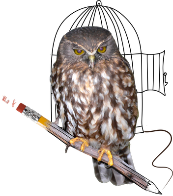 Owl_PNG