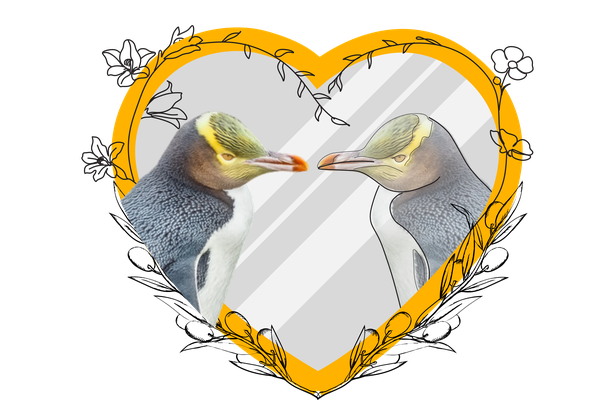 Penguin_PNG