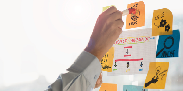 Project management