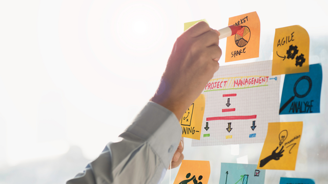 Project management