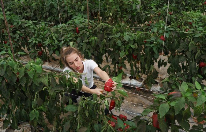 Rural Women