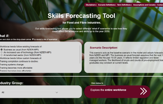 Skills forecasting tool