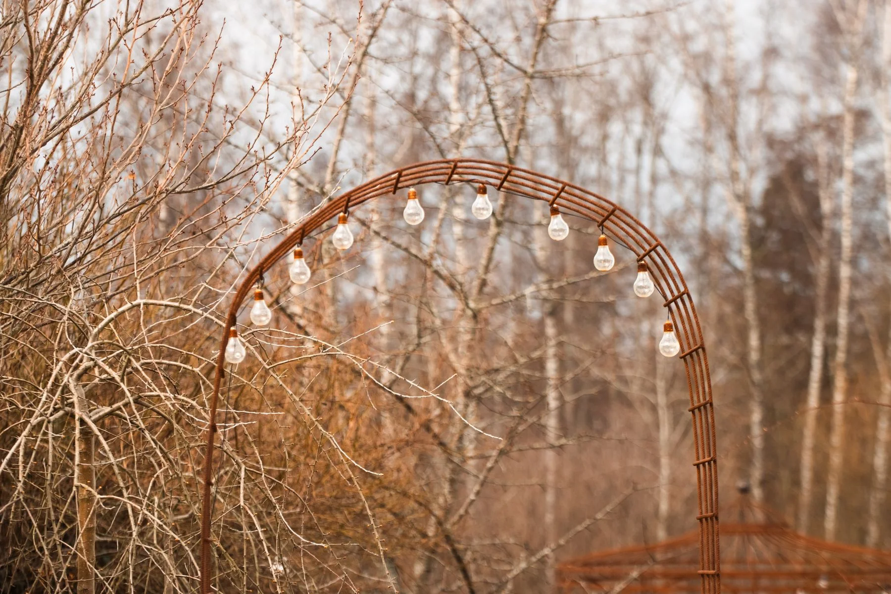 Rustic metal wedding arch with string lights set among trees